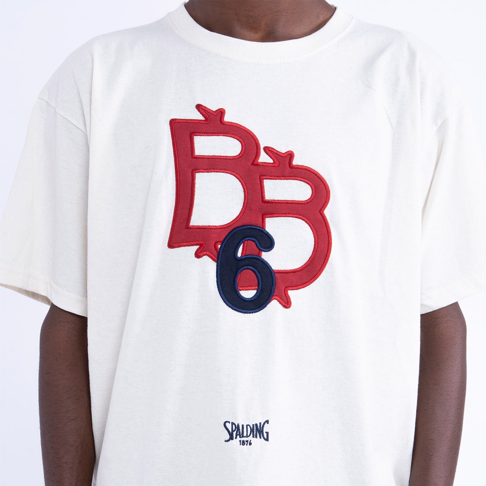 BB6 N